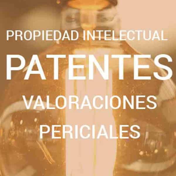 Propiedad Intelectual